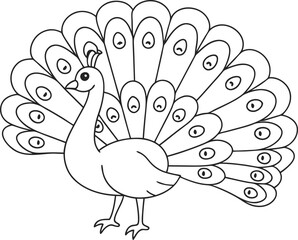 Outline Illustration of a Peacock with Spread Feathers for Coloring Pages