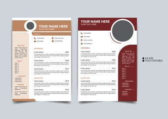 Corporate CV Layout with Editable Sections