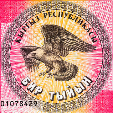 1 Tyin Kyrgyzstan, with the image of an eagle, a fragment for designers. Money of Kyrgyzstan.
