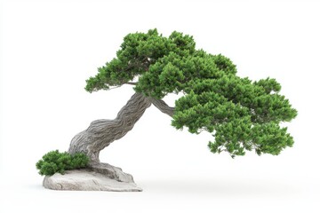 3D Juniper Tree Isolated and White Background