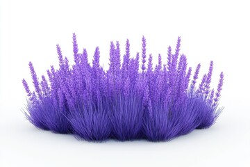 3D Lavender Isolated and White Background