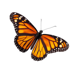Fototapeta premium Majestic Monarch Butterfly in Flight . Transparent background PNG