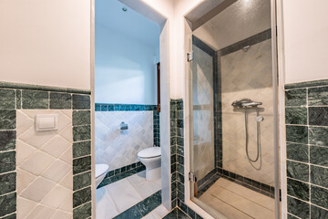 an image of a standing shower and toilet in mediterranean bathroom 