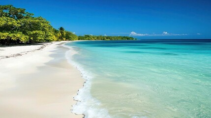 Tropical beach scene; calm waves; pristine white sand; lush green trees