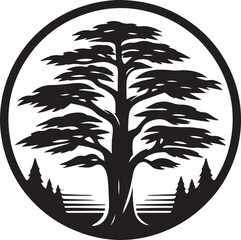 palm tree silhouette