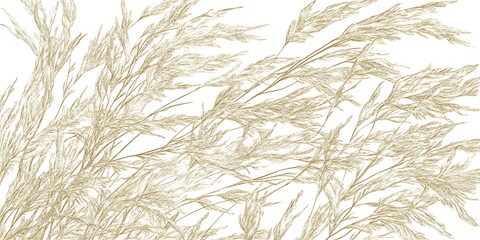 Beige pampas grass, delicate and airy, fills the frame with its feathery texture