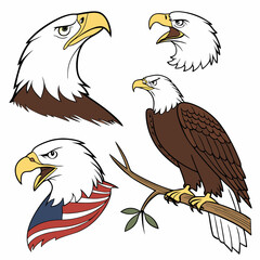 Fototapeta premium American Bald Eagle Vector Illustration with a Strong Beak and Fierce Eye, Representing Freedom and Wildlife