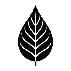 leaf icon on white background