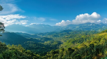 Fototapeta premium Breathtaking panorama of morning wild nature high in mountains