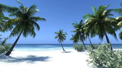 Tropical beach scene with palm trees, ocean view, sunny day.  Possible use travel brochure, vacation ad