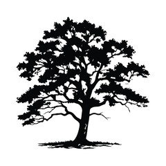 Silhouette of a Tree: A majestic tree stands tall, its silhouette against a clear sky, showcasing its intricate branches and sprawling canopy. The image evokes a sense of strength, longevity.