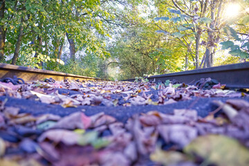 Autumn Leaves on a Railway Track