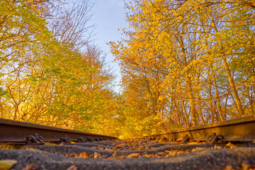 Autumn Railway Tracks Surrounded by Colorful Foliage
