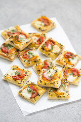 Mini open square pies with tomatoes, ham, mozzarella, pesto, sesame seeds. Close up	