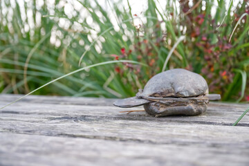 Unique Metal fish sandwiches Sculpture on Wooden Surface