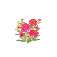 watercolor  handmade Zinnias flower