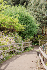 Wooden fence in the garden
