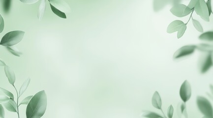 Light green leaf background