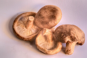 Side view of Shiitake  Mushrooms