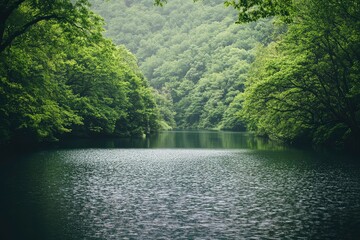 Fototapeta premium High-resolution nature landscapes for any use