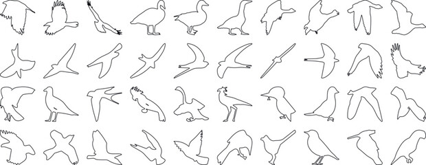bird silhouette vector illustration, perfect for logo design, art projects, and graphic design. Diverse positions, flying, perching