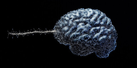 A striking fusion of human intelligence and artificial technology—one half a natural brain, the other a glowing digital network. A perfect balance between organic thought and advanced AI, symbolizing 
