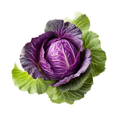 Obraz premium Isolated Cabbage PNG Cutout with Transparent Backdrop, Perfect for Market, Nutrition, and Recipe Images