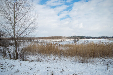 winter landscape with river