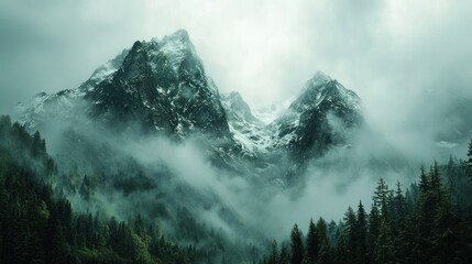 Misty mountain peaks shrouded in fog, evergreen forest below