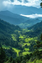 Fototapeta premium Green valley view. Rolling hills landscape. Lush trees scene. Mountains background. Overlook of forest and meadows. Scenic natural light.