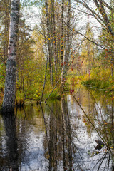 Paaskula Bog in Tallinn, Estonia (Estonian - P&auml;&auml;sk&uuml;la raba), beautifully captures a tranquil wetland scene. The focus is on a still, reflective body of water surrounded by a variety of trees.
