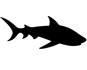 Obraz premium Shark Silhouette - vector template for a logo or badge. Outline. Vector animal - shark fish. 