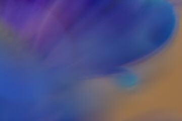 Macro Flower Blossom Background blue purple