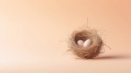 Warm toned eggs inside a nest of delicate branches on a clean surface ideal for social media and seasonal content creation