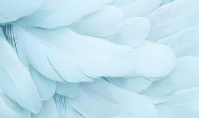 Naklejka premium Soft Blue Feathers Layered for a Tranquil Aesthetic Background