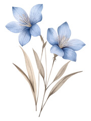 Delicate Watercolor Illustration of Two Blue Flowers with Soft Beige Leaves