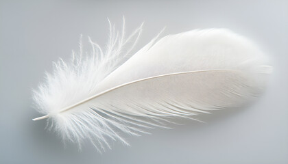 Fototapeta premium One white feather on a light gray background, close-up