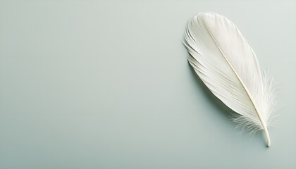 Obraz premium One white feather on a light gray background, close-up