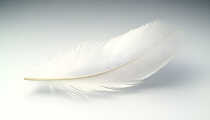 Obraz premium One white feather on a light gray background, close-up