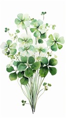 Fototapeta premium Watercolor bouquet of green clover and shamrock leaves on white background