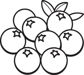 blueberries line art, black outline, vector and illustration, coloring book page line art drawing