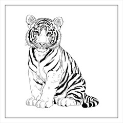 Obraz premium Tiger Coloring page outline