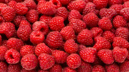 Tasty fresh raspberry as a background.