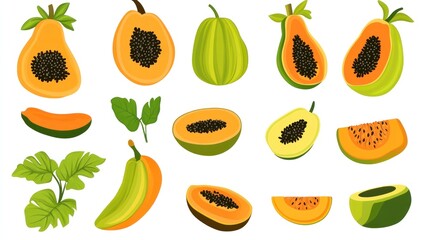Collection of Papaya slices, healthy fruit, different angles, food illustration, visual aids