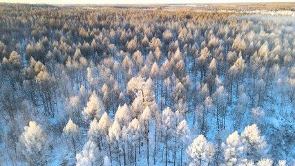 Exploring the Stunning Winter Mist Forest of Heilongjiang China From Above