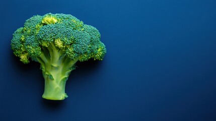 Fresh broccoli on a blue surface showcasing healthy food choices for meals and snacks