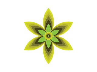 Round yellow flower illustrator isolated on white background