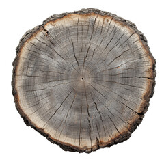 Fototapeta premium Crosscut of a tree log displaying intricate striped textures on a transparent surface, showcasing natural patterns in detail, Crosscut of a tree log with striped texture on transparent backgroundfile