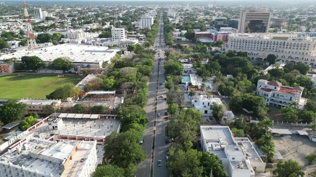aerial view of the avenue boulevard paseo de montejo in merida yucatan mexico (scenic street with european style mansions from turn of the 20th century) 19th century millionaire block