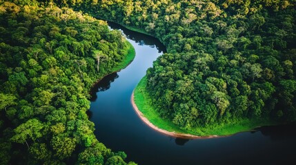 A breathtaking drone view of a lush, green Amazonian jungle landscape, featuring dense trees and a winding river.
